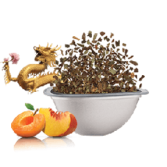 Peach & Apricot Dream