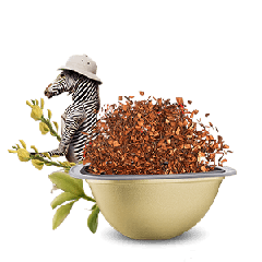Rooibos Vanilla