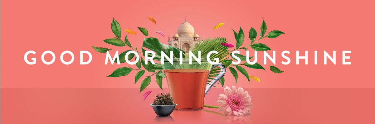 Good Morning Sunshine