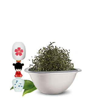 Avis de notre expert