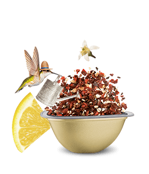 Avis de notre expert