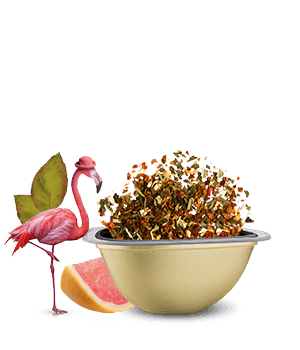 Avis de notre expert