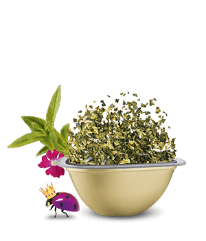 Avis de notre expert